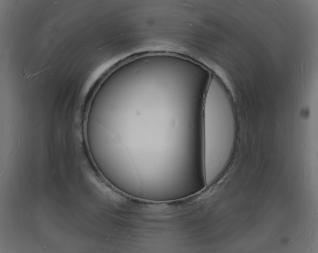 X0000093721120200710160744