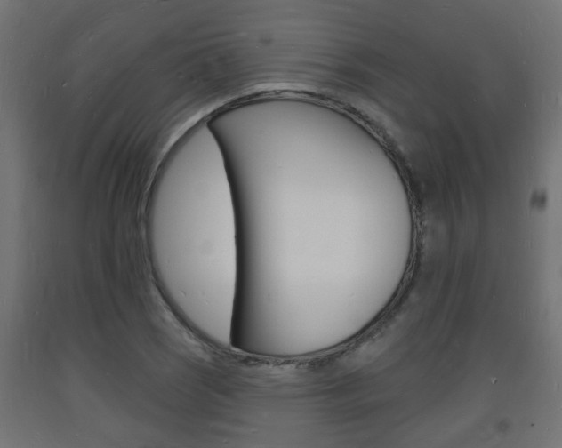 X0000093721121200710160744