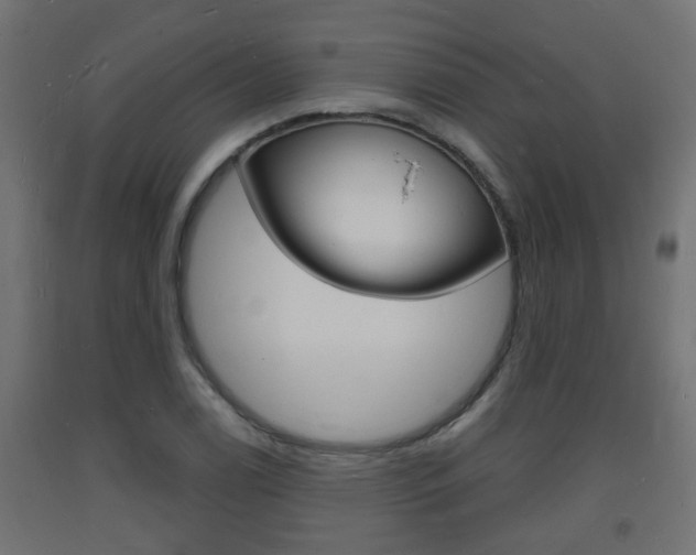 X0000093721122200710160744