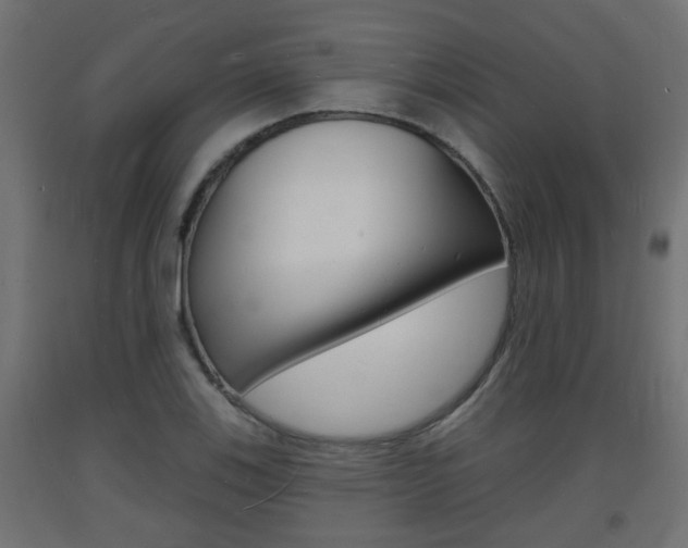 X0000093721123200710160744
