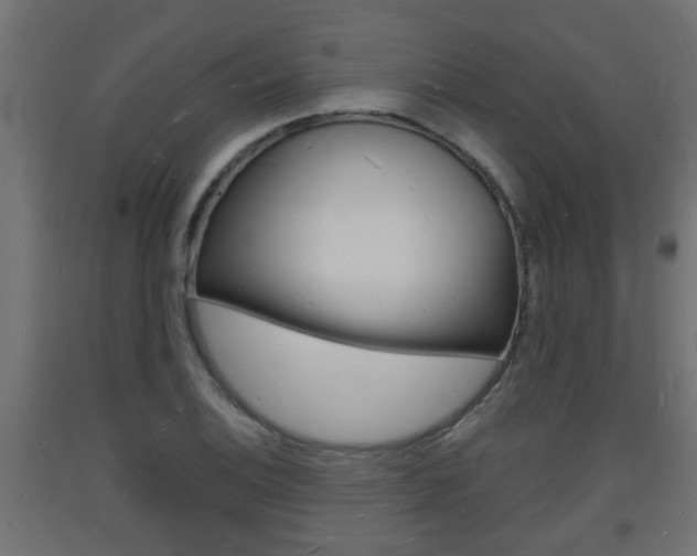 X0000093721124200710160744