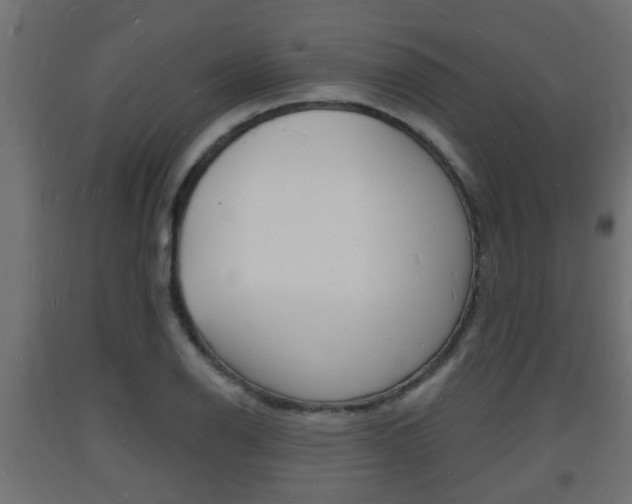 X0000093721126200710160744
