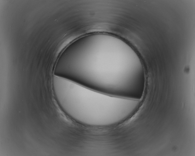 X0000093721129200710160745