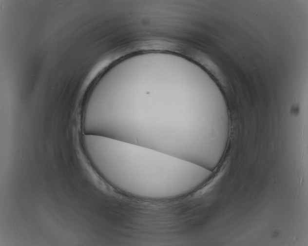 X0000093721130200710160745