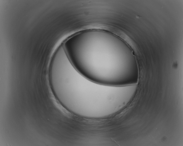 X0000093721132200710160745