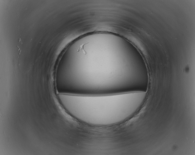 X0000093721133200710160745