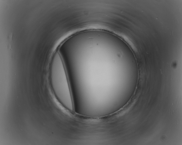X0000093721134200710160745