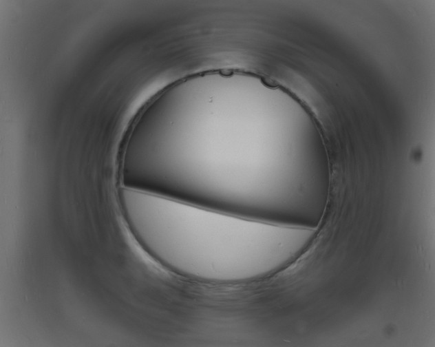 X0000093721135200710160745