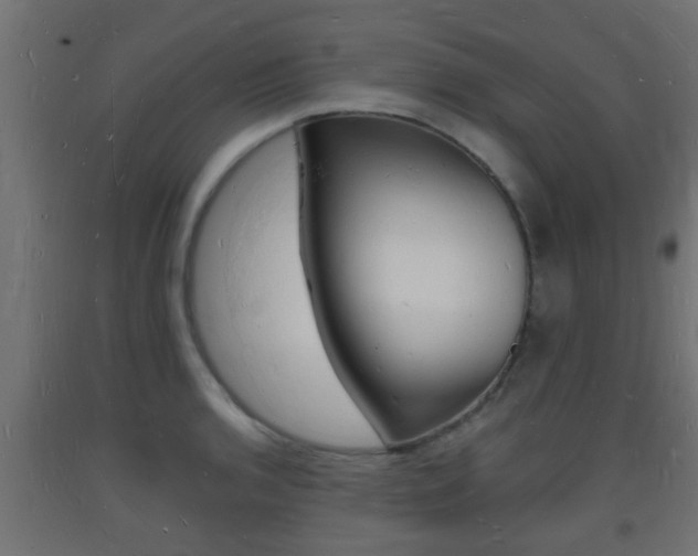 X0000093721136200710160745