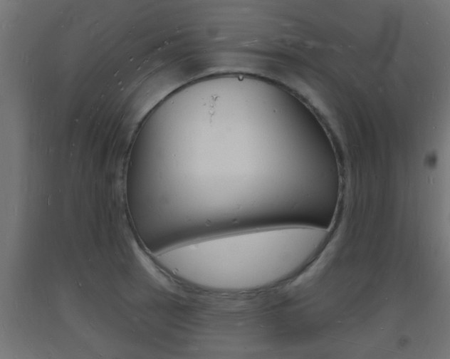 X0000093721137200710160745