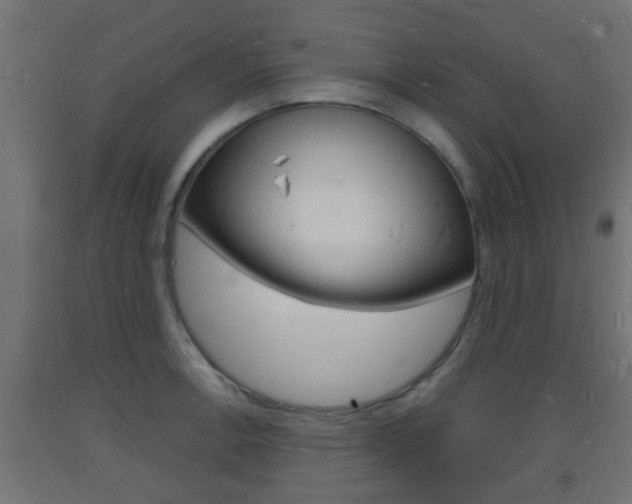 X0000093721138200710160745