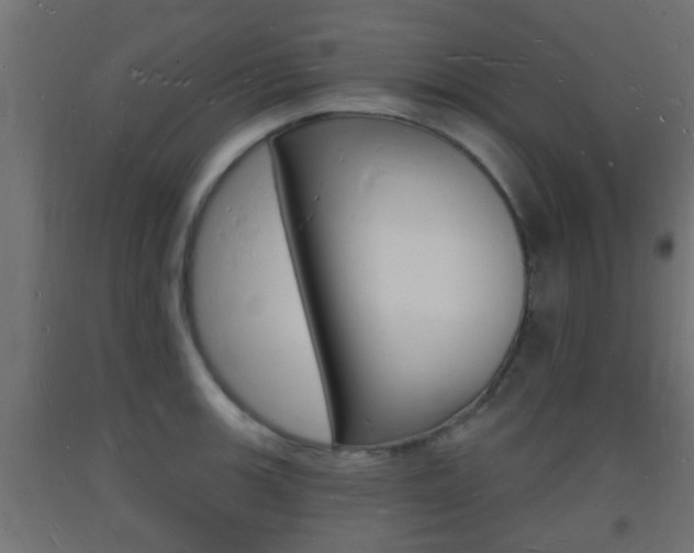 X0000093721139200710160745