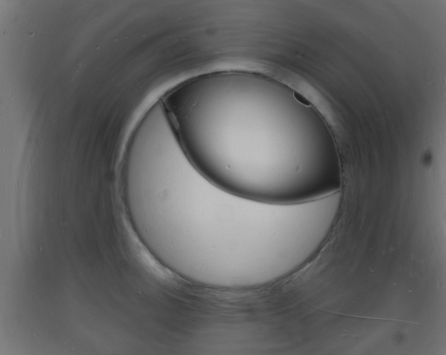 X0000093721140200710160745