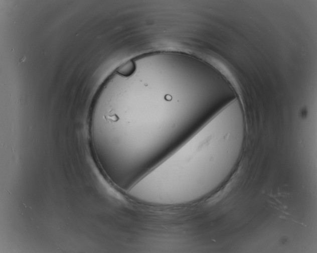 X0000093721141200710160745