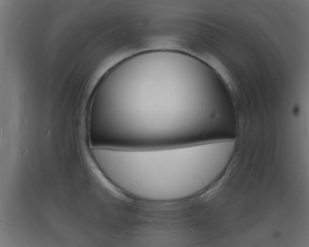 X0000093721142200710160745