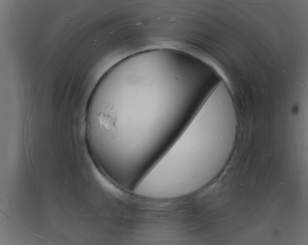 X0000093721143200710160745