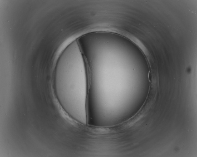 X0000093721144200710160745