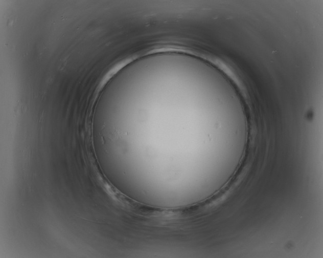 X0000093721145200710160745
