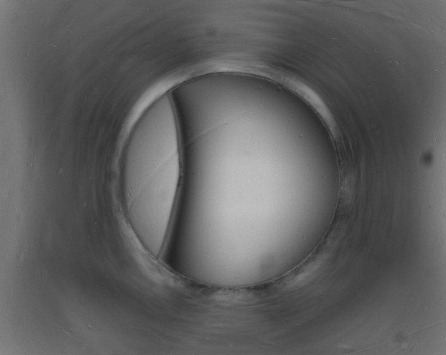 X0000093721146200710160745