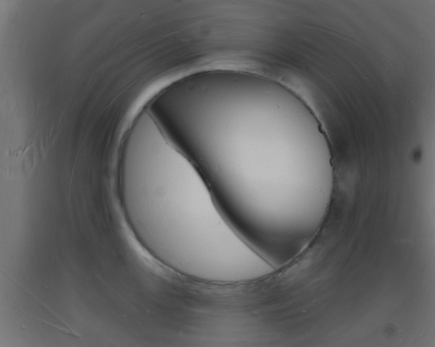 X0000093721147200710160745