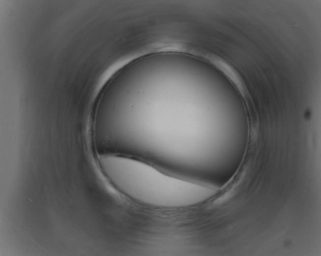 X0000093721149200710160745