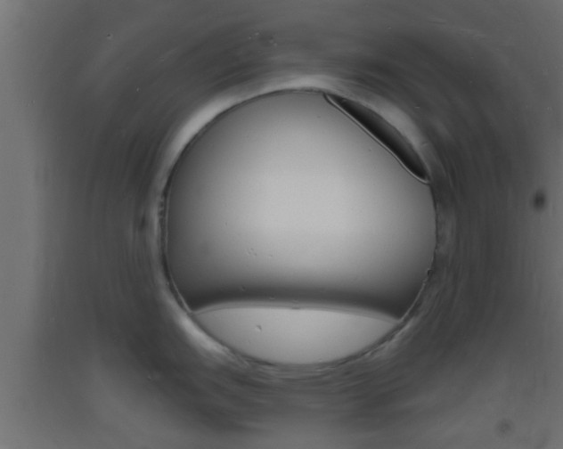 X0000093721151200710160745