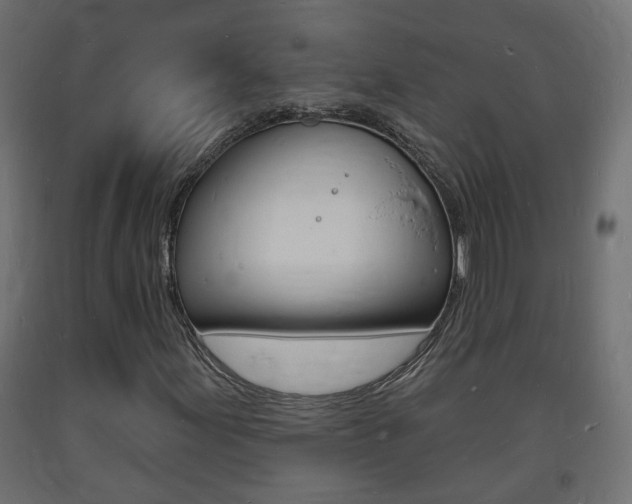 X0000093721155200710160744