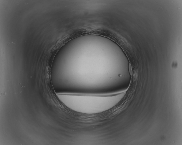 X0000093721156200710160744