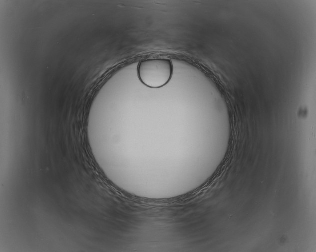 X0000093721157200710160744