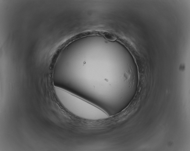 X0000093721159200710160744