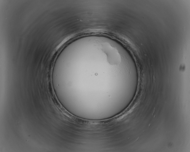 X0000093721162200710160744