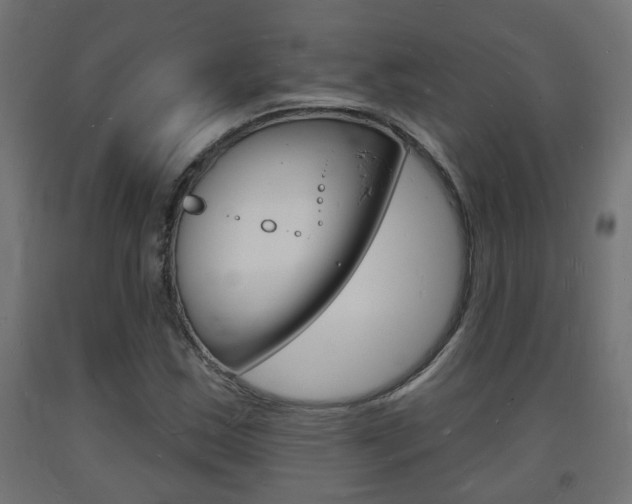 X0000093721163200710160744