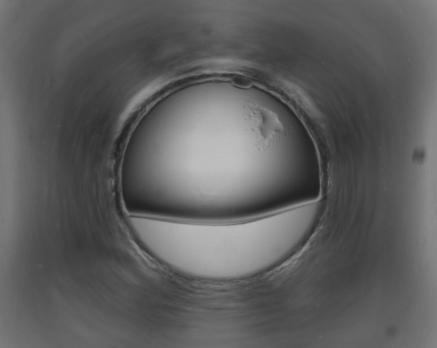 X0000093721164200710160744