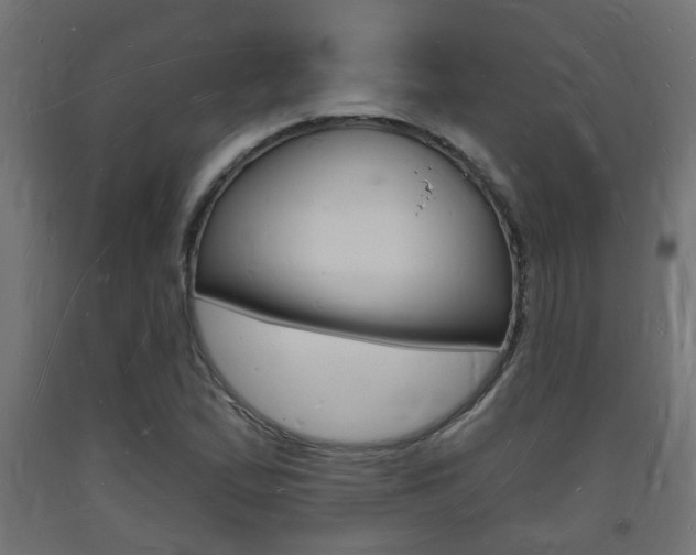 X0000093721167200710160744