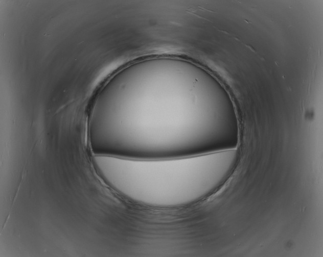X0000093721171200710160744