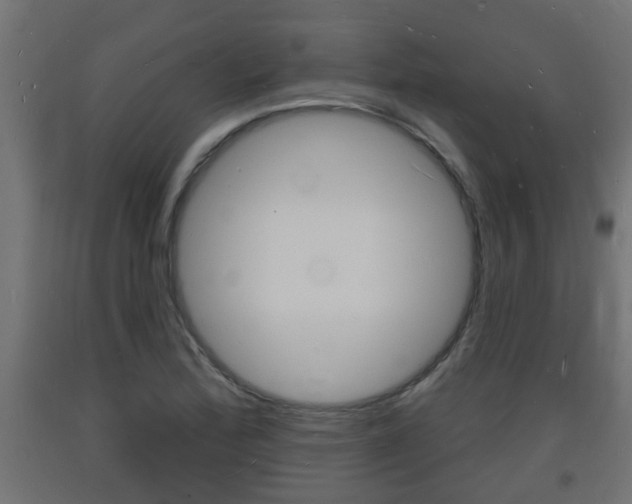 X0000093721172200710160744