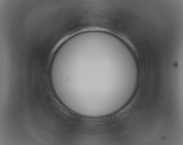 X0000093721173200710160744
