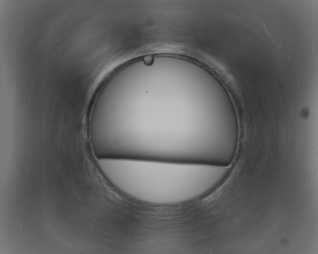 X0000093721174200710160744