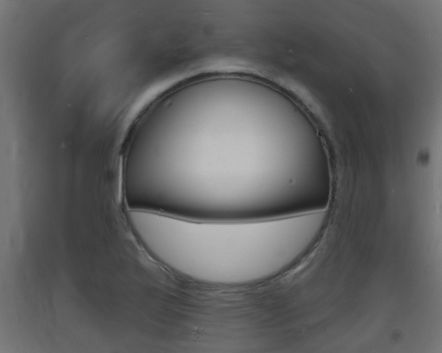 X0000093721175200710160744