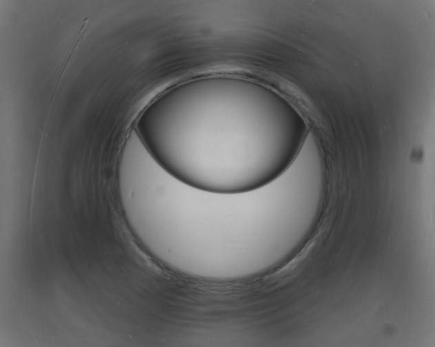 X0000093721177200710160744