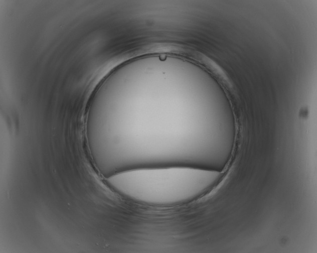 X0000093721178200710160744