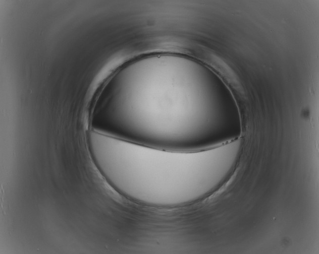 X0000093721180200710160744