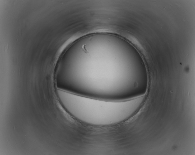 X0000093721181200710160744
