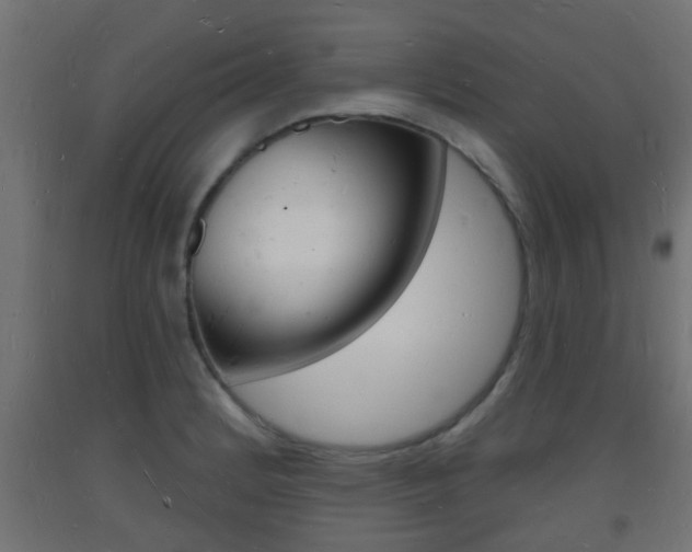 X0000093721184200710160744