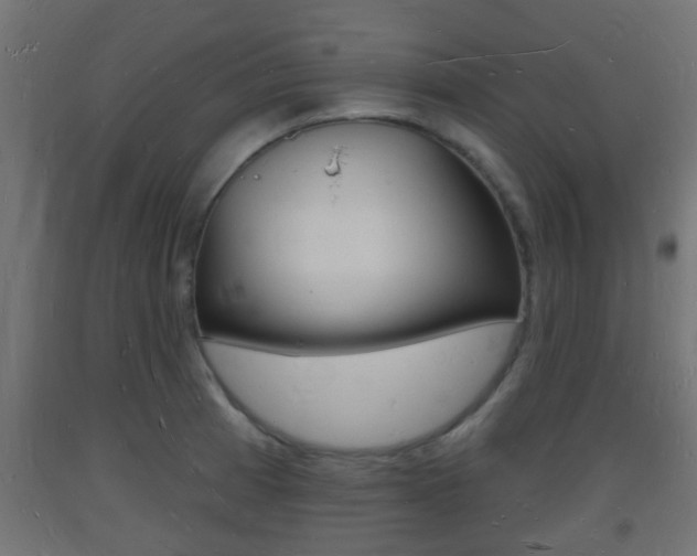 X0000093721185200710160744