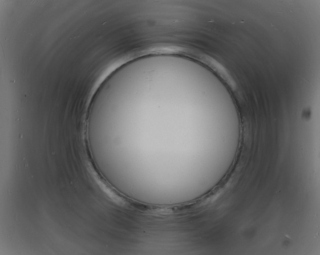 X0000093721186200710160744