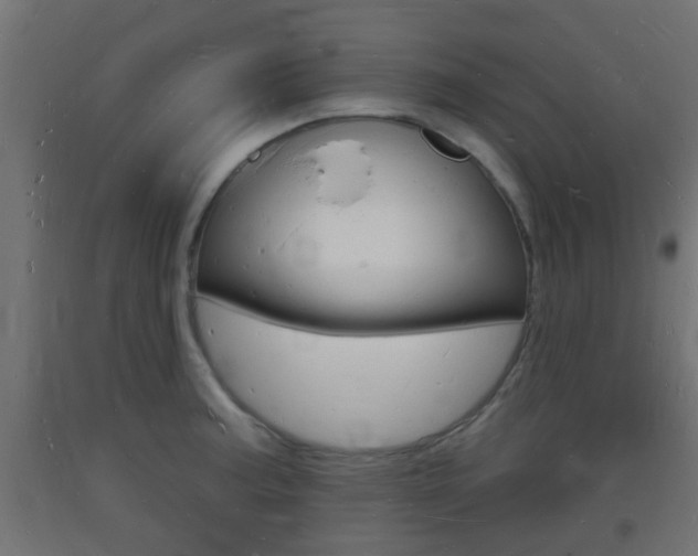 X0000093721187200710160744