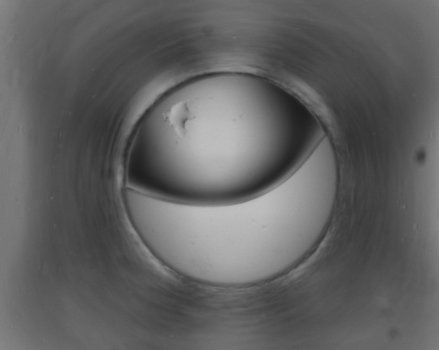 X0000093721188200710160744