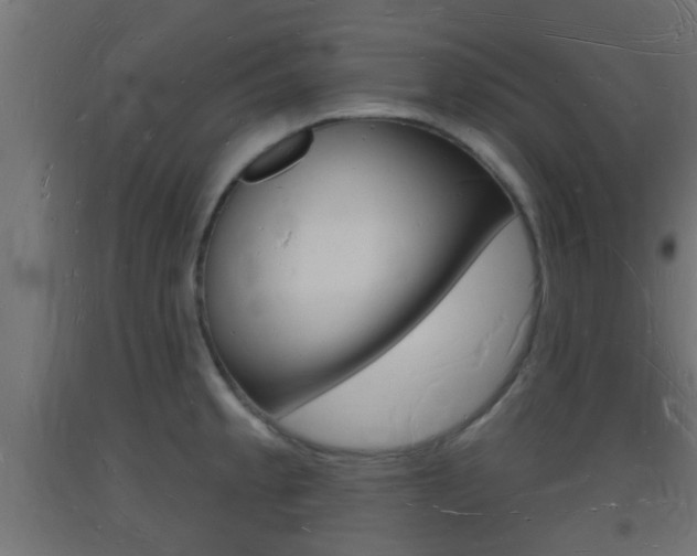 X0000093721189200710160743