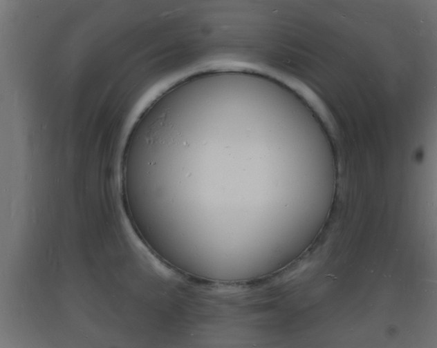 X0000093721191200710160743
